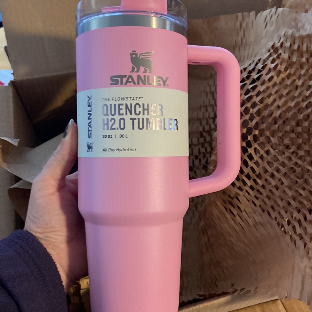 30 oz. Sizzling pink Stanley